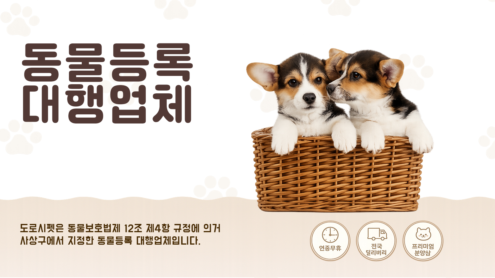 슬라이드 5
