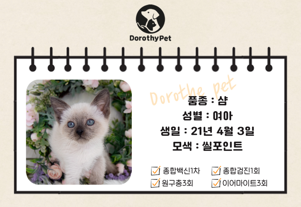 악세사리 화이트 색상 이미지-S1L1