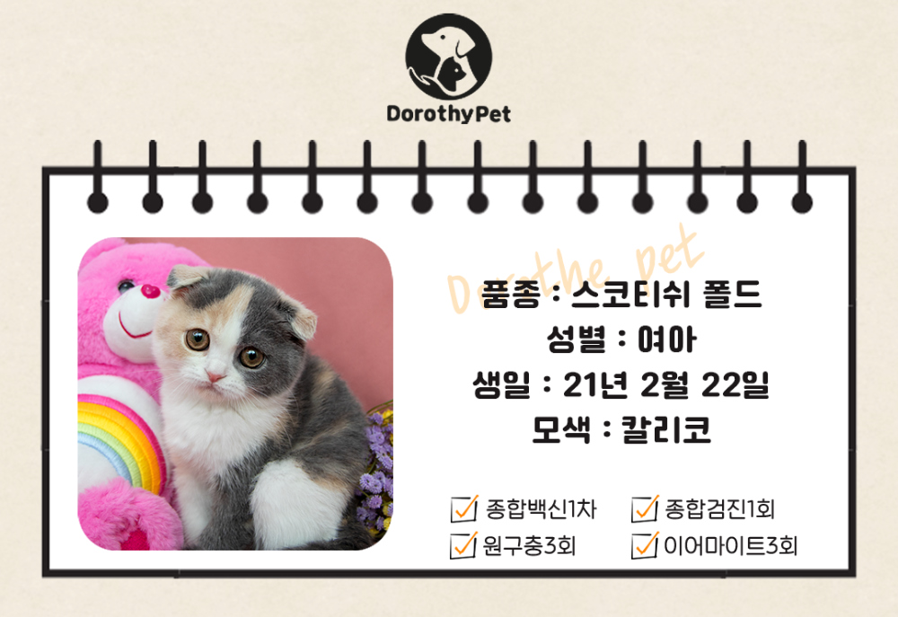 악세사리 상품 이미지-S3L1