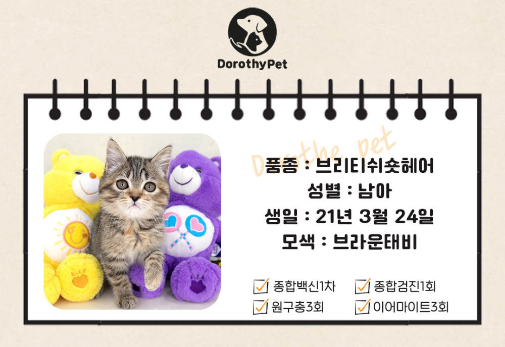 악세사리 상품 이미지-S3L1