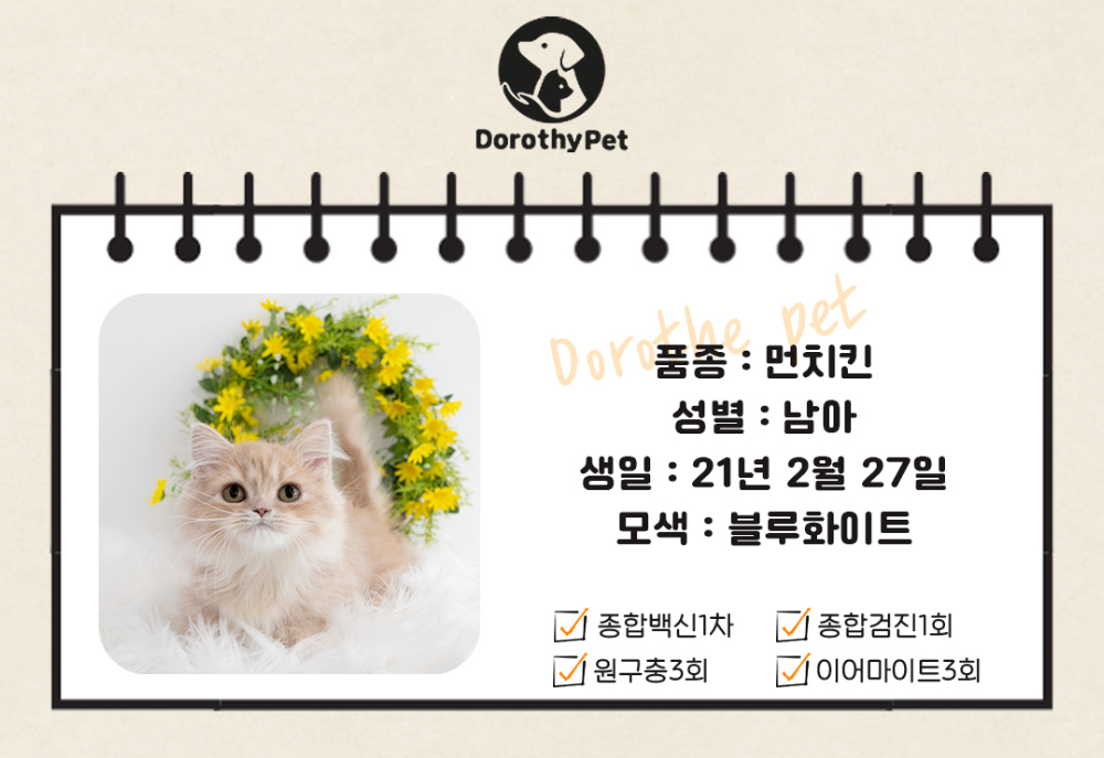 악세사리 상품 이미지-S7L1