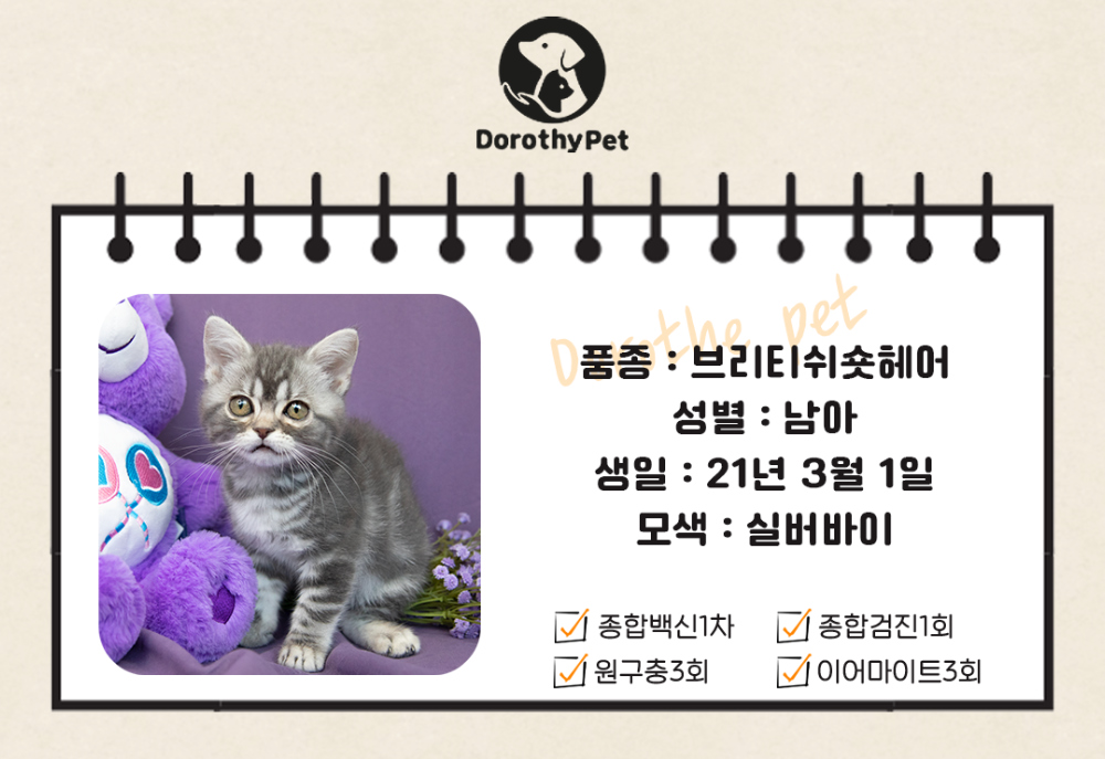 악세사리 상품 이미지-S3L2