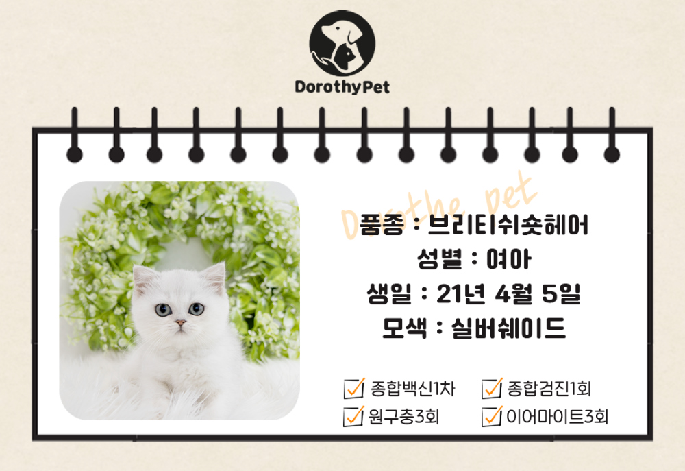 악세사리 상품 이미지-S3L1