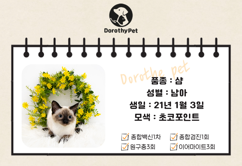 악세사리 상품 이미지-S6L3
