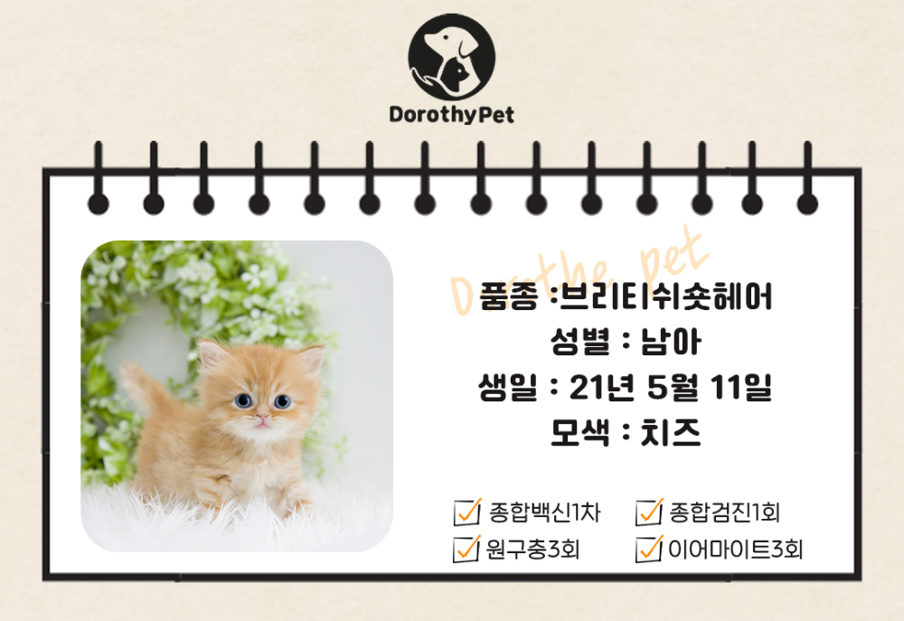 악세사리 상품 이미지-S4L1