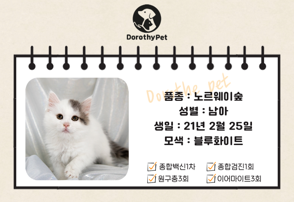 악세사리 상품 이미지-S3L1