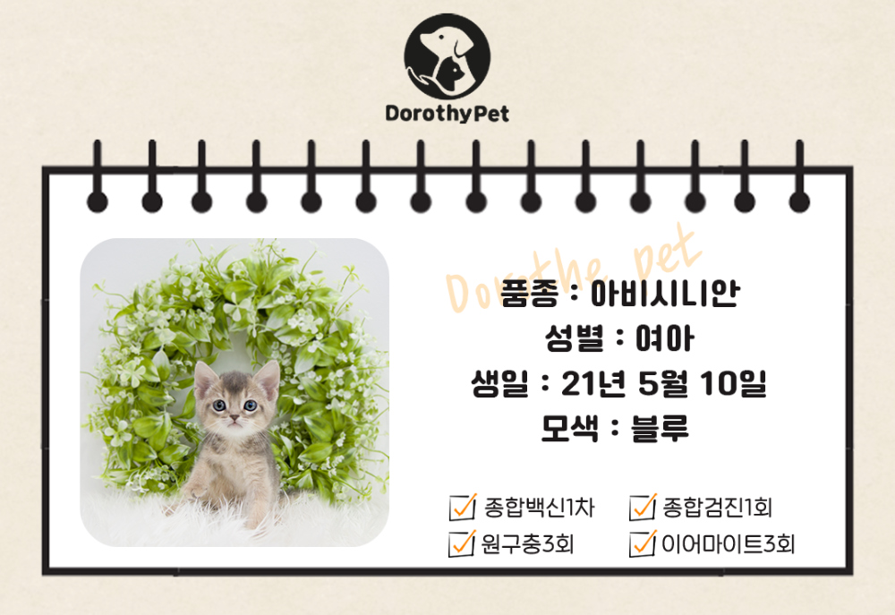 악세사리 상품 이미지-S3L1