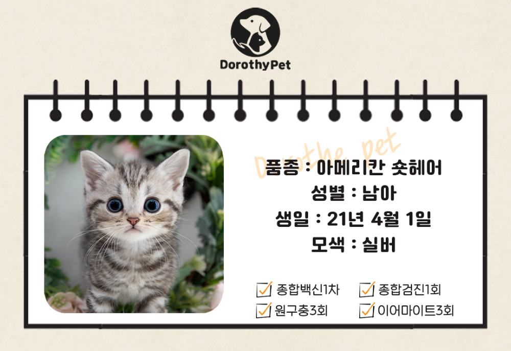 악세사리 상품 이미지-S3L1