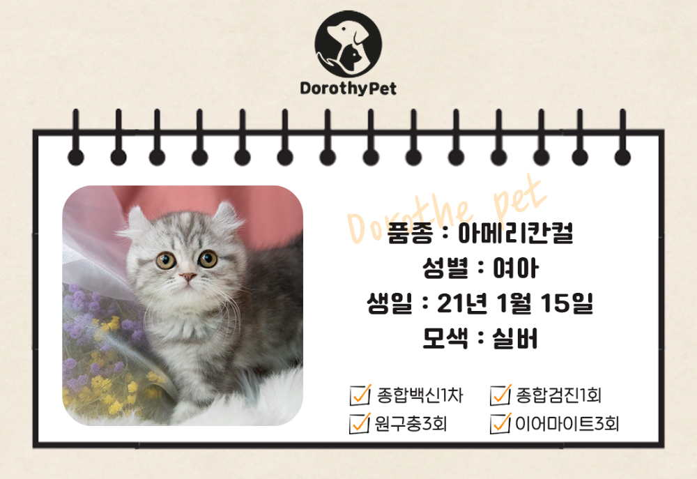 악세사리 상품 이미지-S3L2