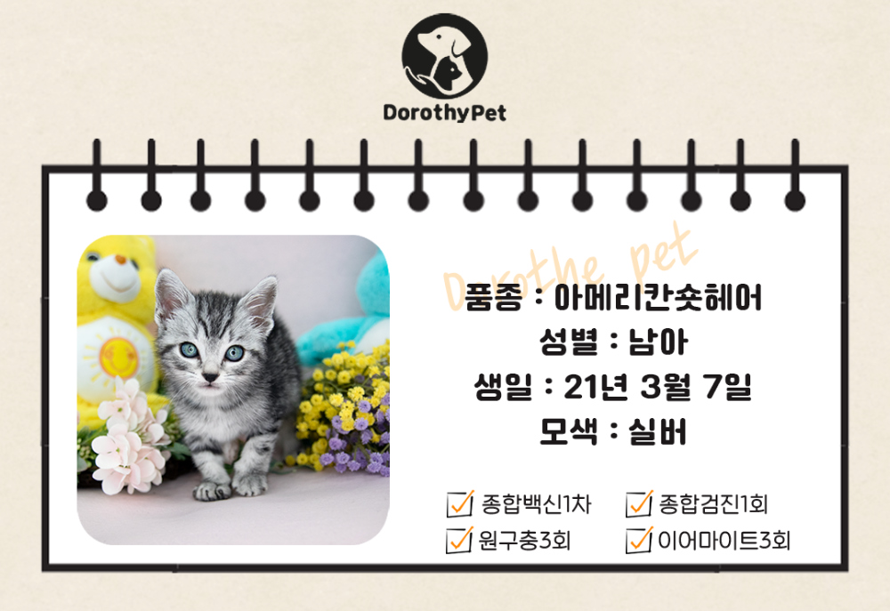 악세사리 상품 이미지-S1L1