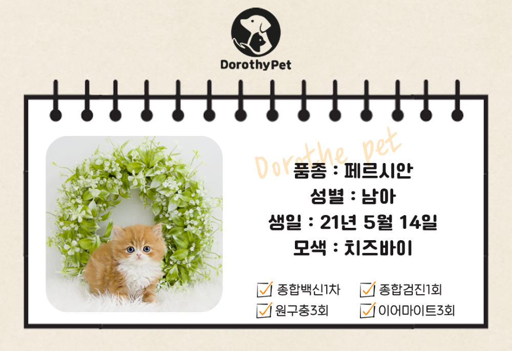 악세사리 상품 이미지-S4L1