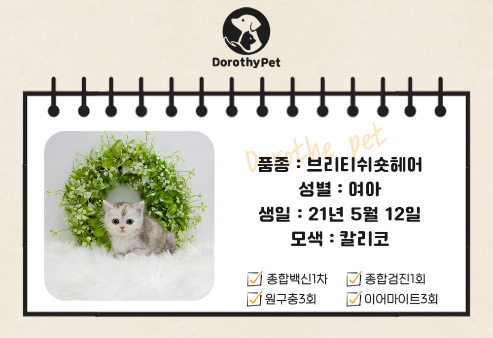 악세사리 상품 이미지-S2L2
