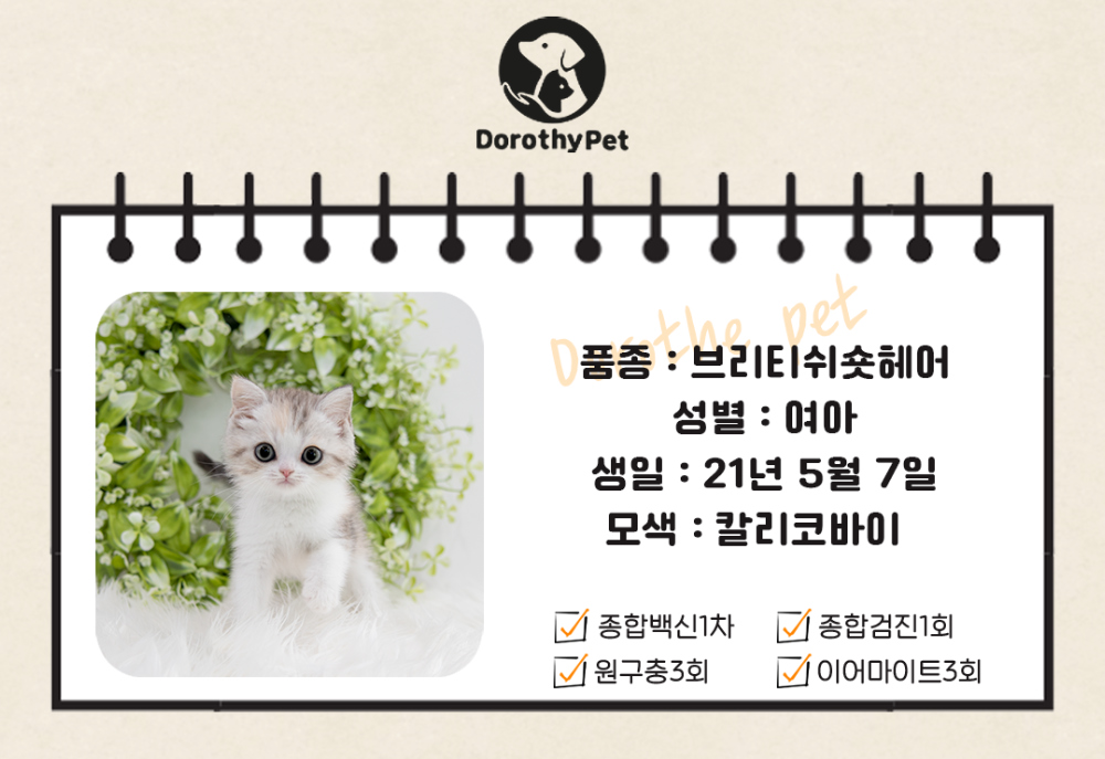 악세사리 상품 이미지-S3L1