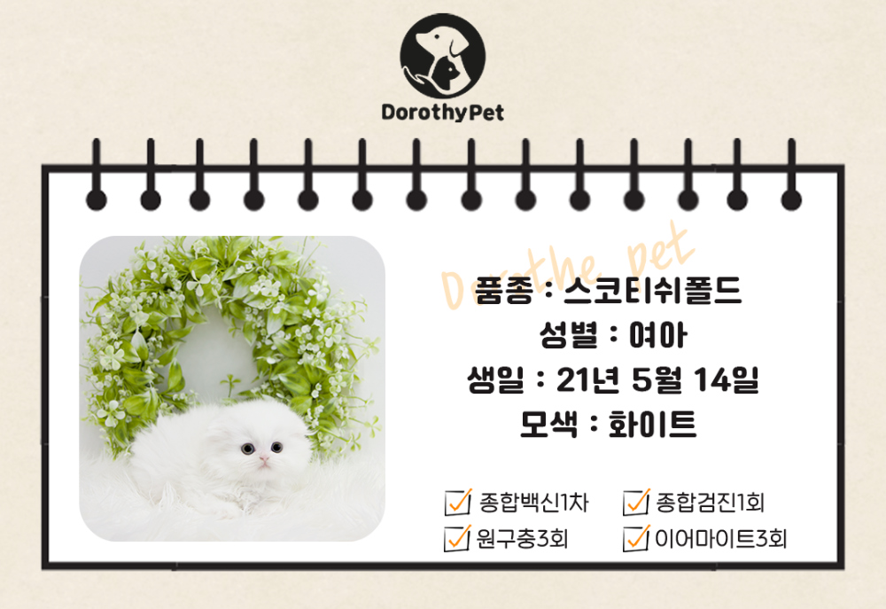 악세사리 상품 이미지-S7L1