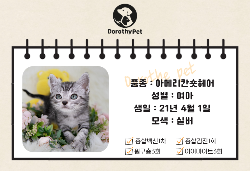 악세사리 상품 이미지-S3L1