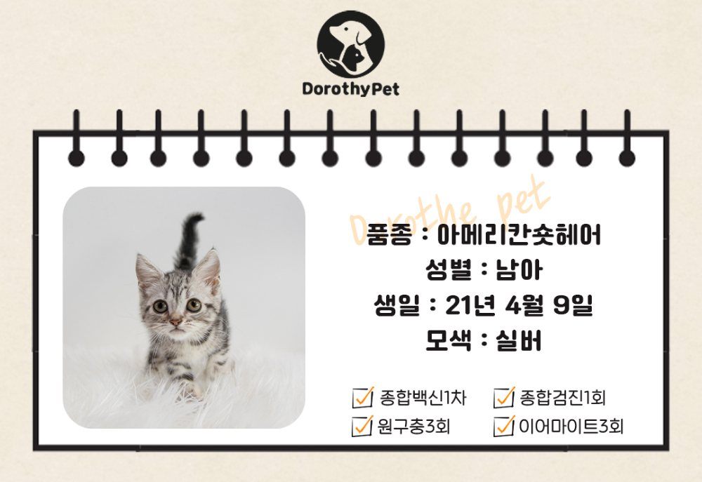 악세사리 상품 이미지-S3L1