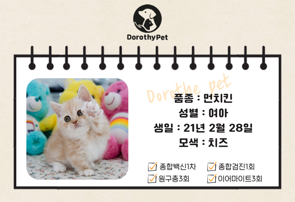 악세사리 상품 이미지-S3L2