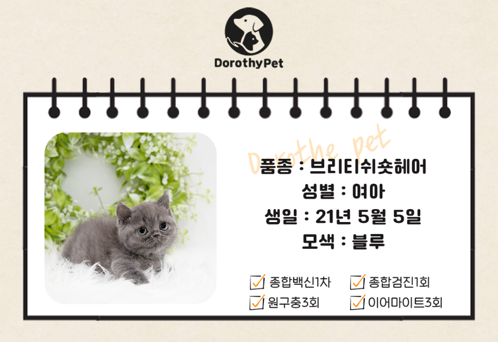 악세사리 상품 이미지-S3L1