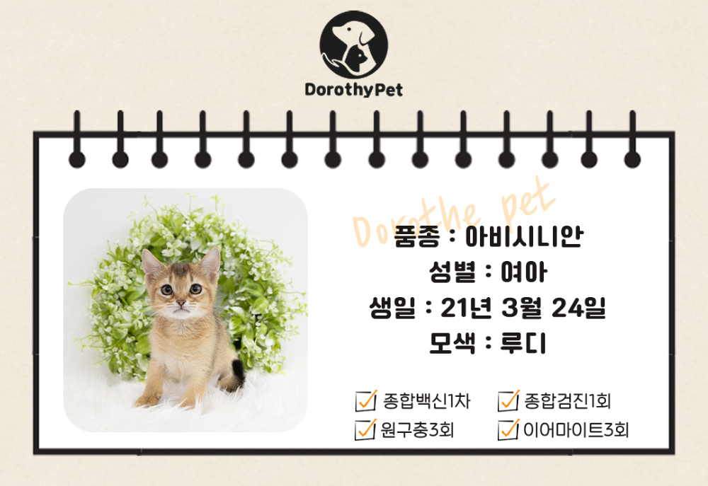 악세사리 상품 이미지-S3L1
