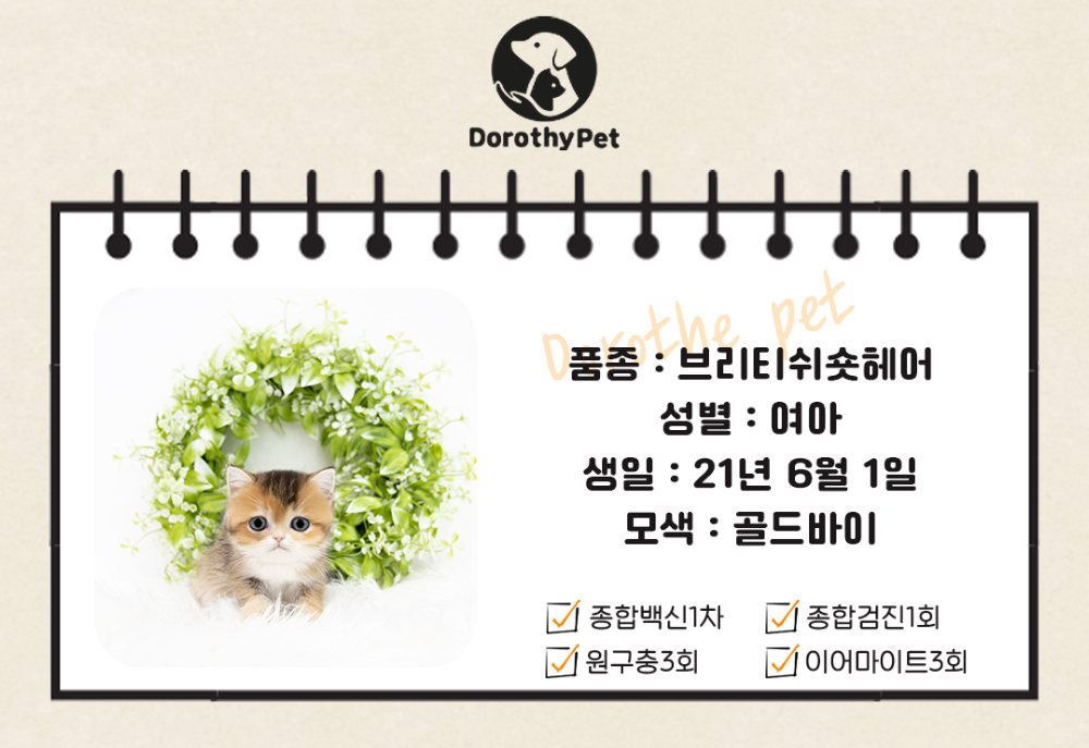 악세사리 상품 이미지-S1L1