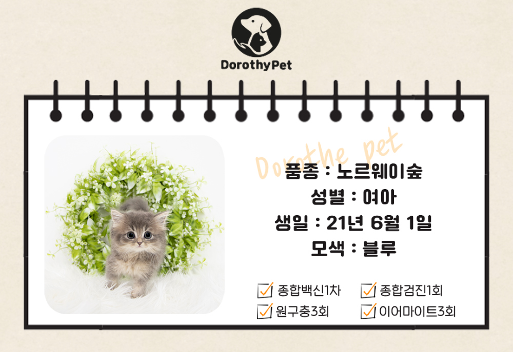 악세사리 상품 이미지-S1L1