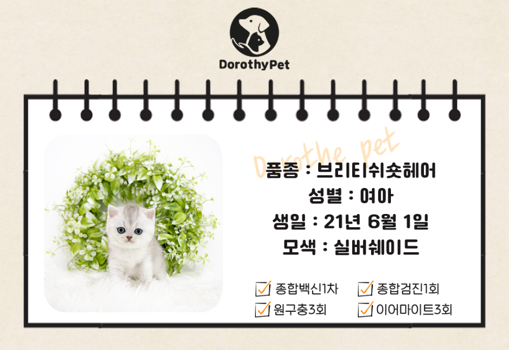 악세사리 상품 이미지-S1L1