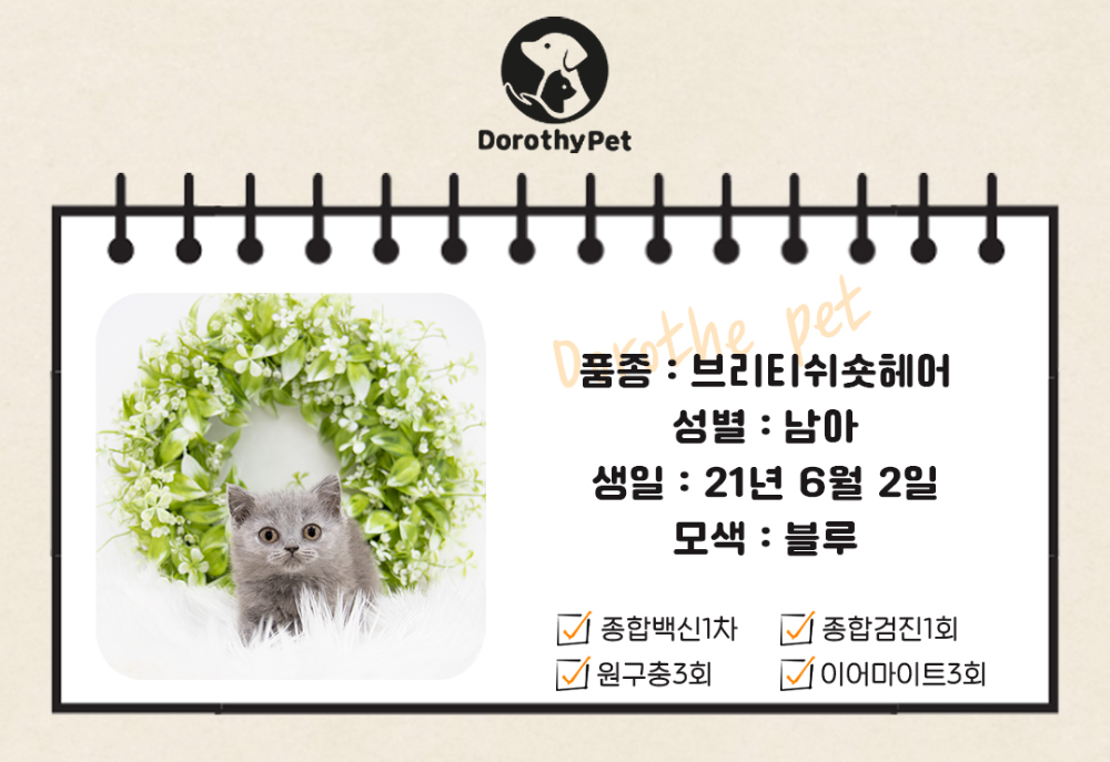 악세사리 상품 이미지-S1L1