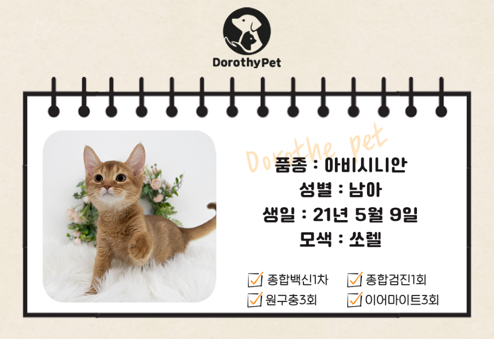 드레스 상품 이미지-S1L1