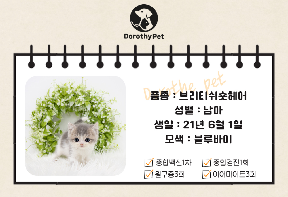 악세사리 상품 이미지-S1L1