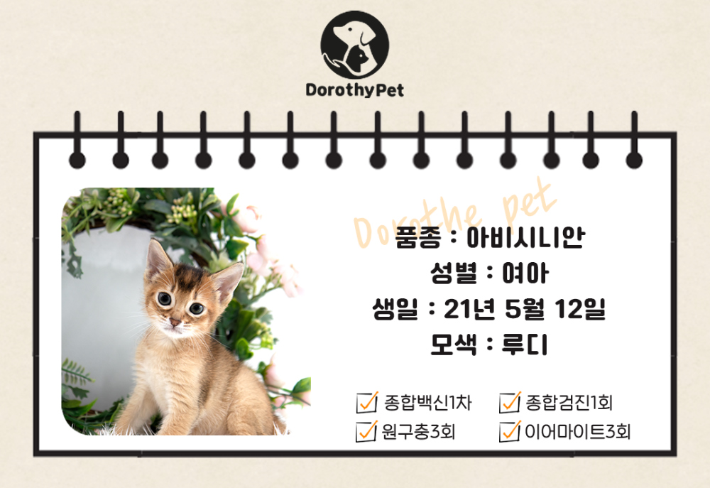 드레스 상품 이미지-S1L1