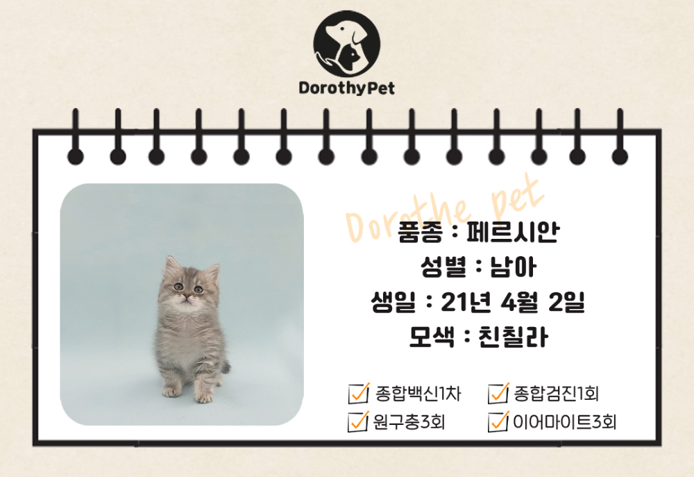 악세사리 상품 이미지-S1L2