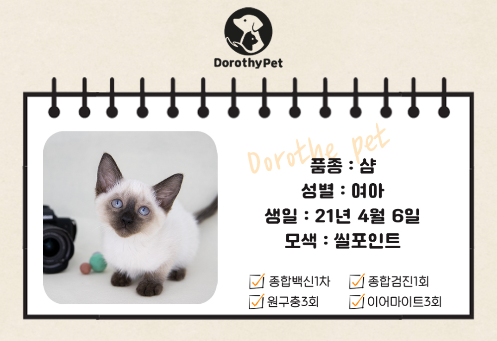 악세사리 화이트 색상 이미지-S1L1