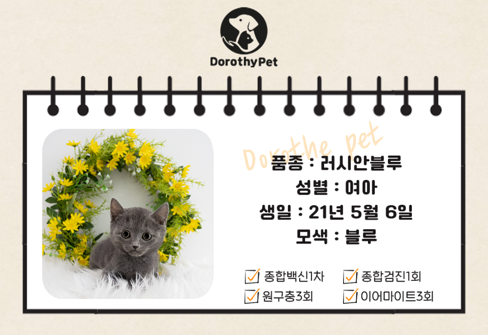 악세사리 상품 이미지-S1L2