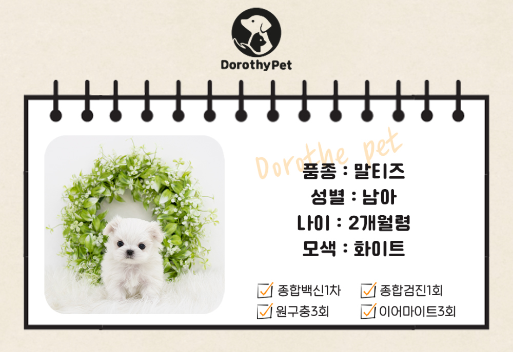악세사리 상품 이미지-S1L1