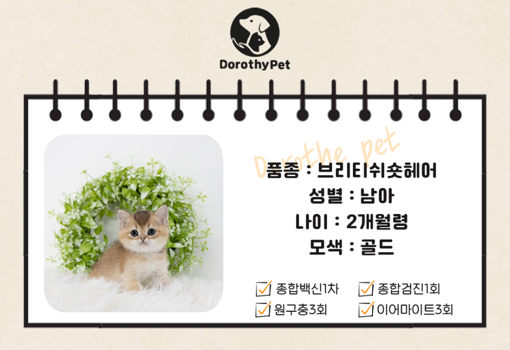 악세사리 상품 이미지-S1L1