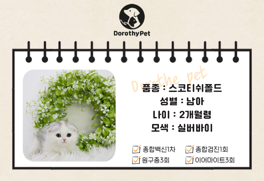 악세사리 상품 이미지-S1L1