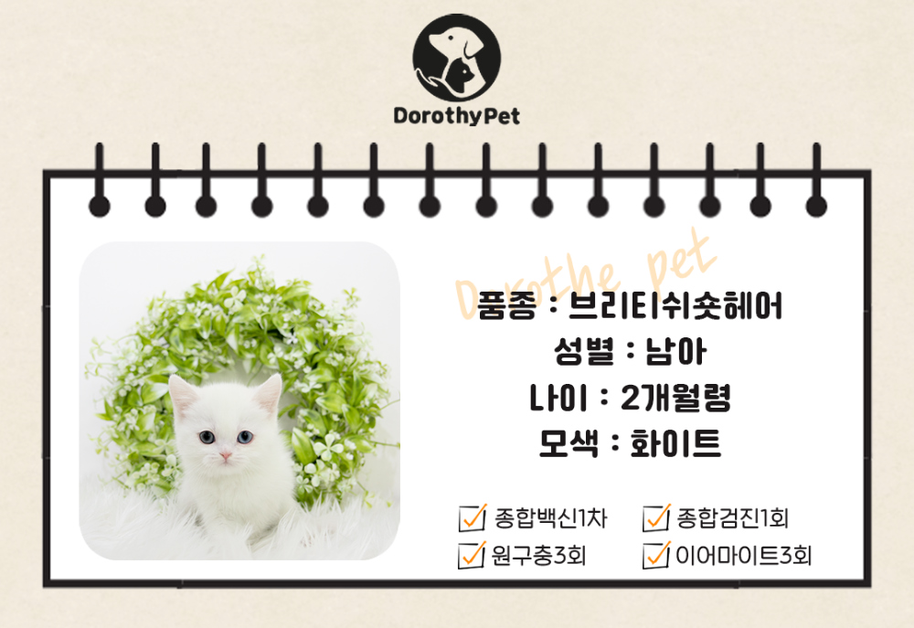 악세사리 상품 이미지-S1L1