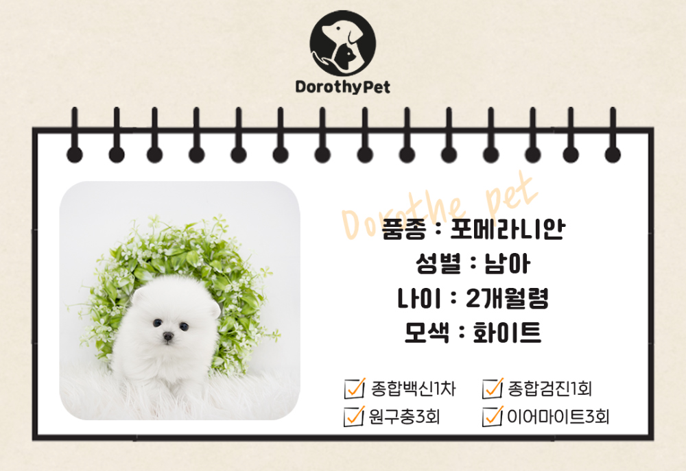 악세사리 상품 이미지-S1L1