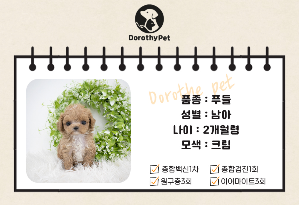 모자 상품 이미지-S1L3