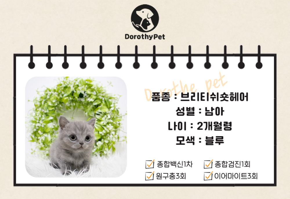 모자 상품 이미지-S1L1