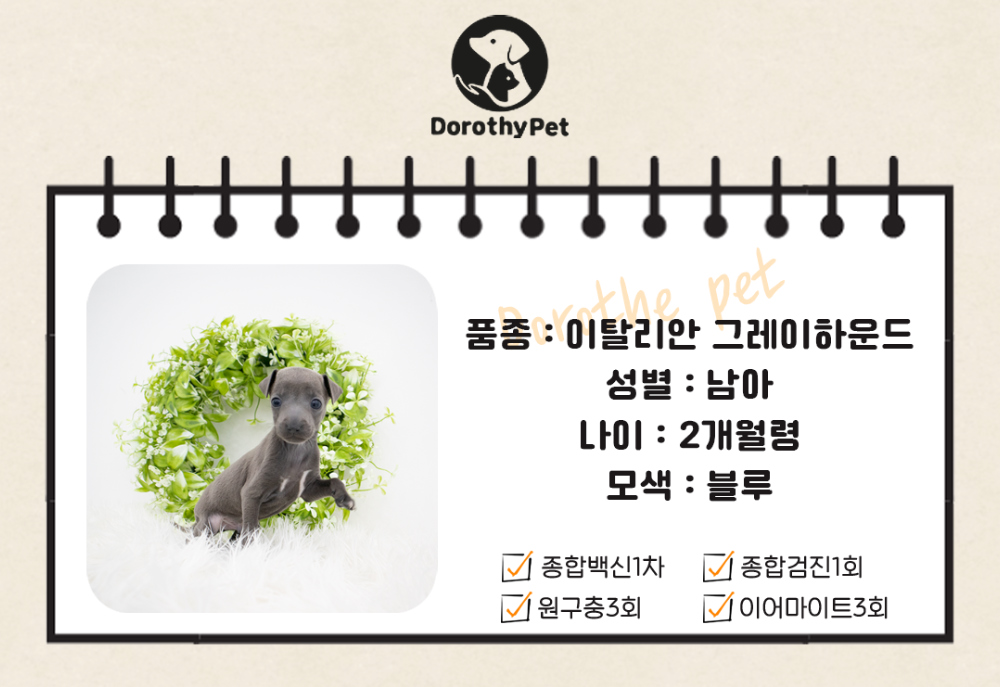 악세사리 상품 이미지-S1L1
