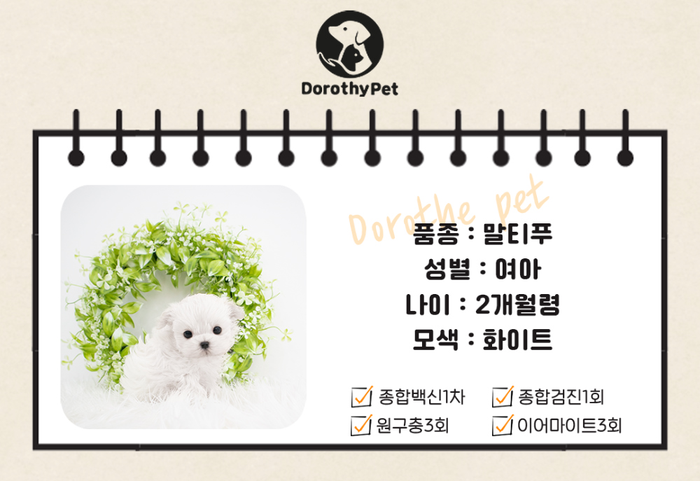 악세사리 상품 이미지-S1L1