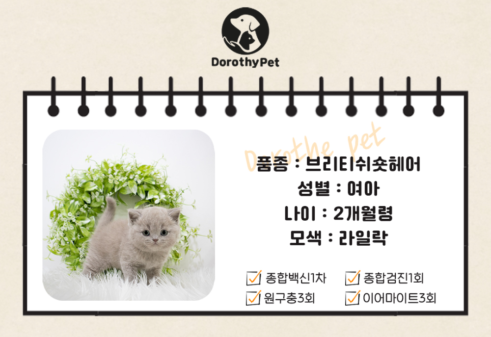 악세사리 상품 이미지-S1L1