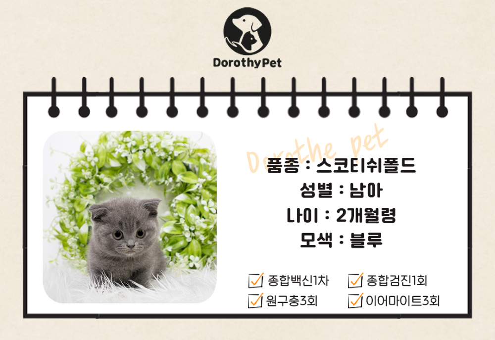 악세사리 상품 이미지-S1L3