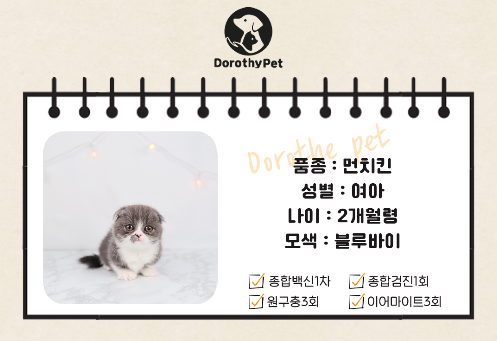 악세사리 상품 이미지-S1L1