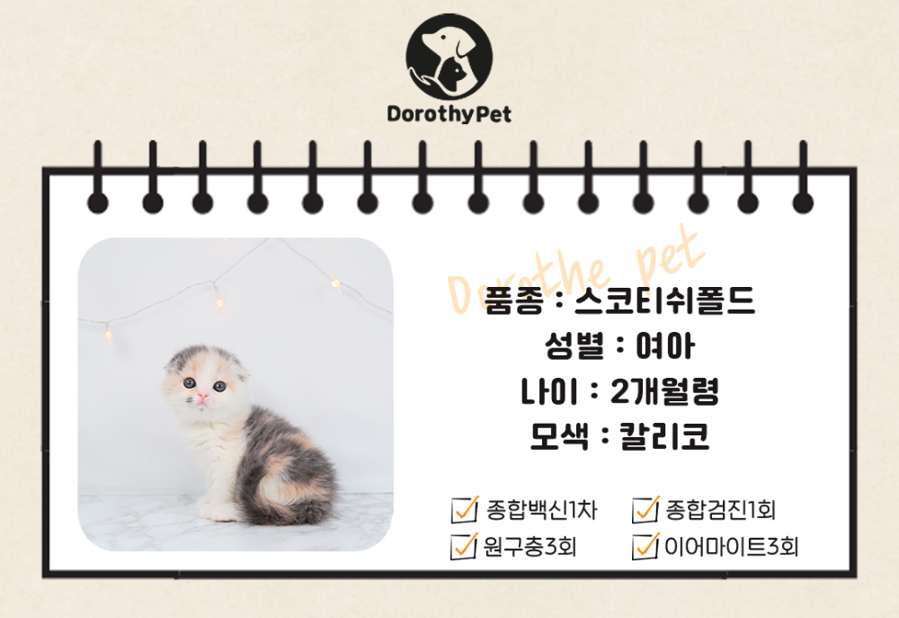 양말 상품 이미지-S1L1