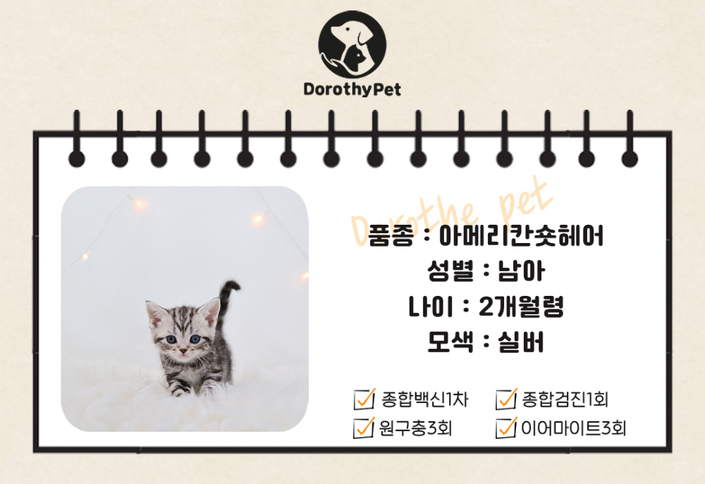 악세사리 상품 이미지-S1L2