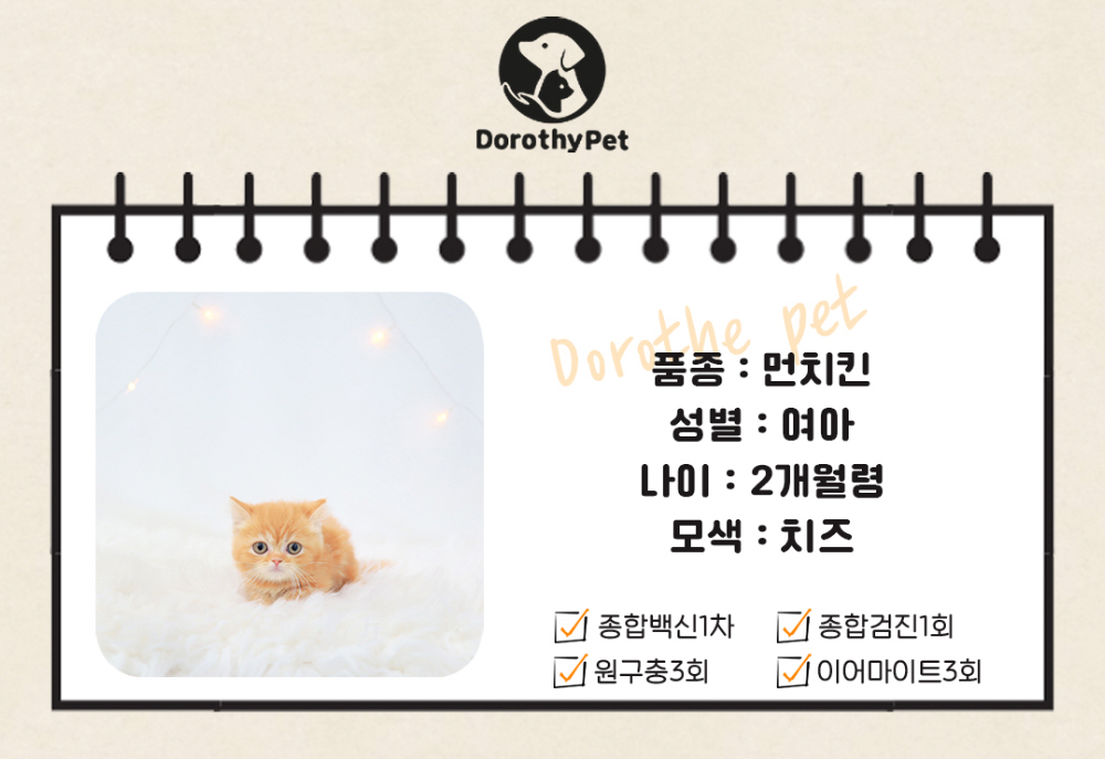악세사리 상품 이미지-S1L2