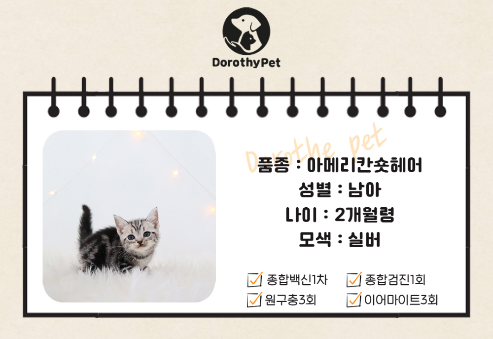 악세사리 상품 이미지-S1L2