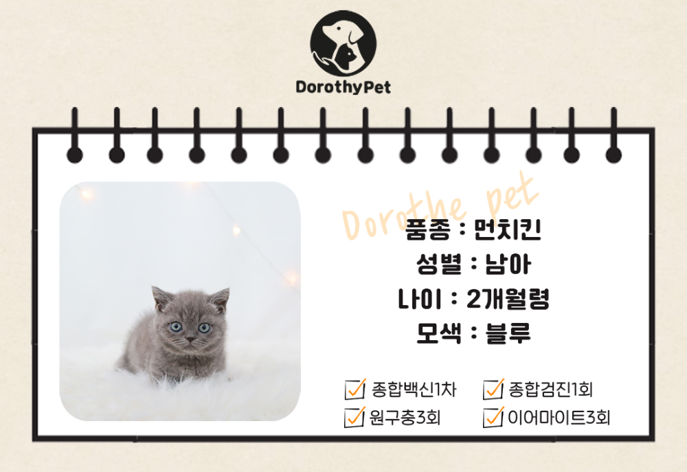 악세사리 상품 이미지-S1L2